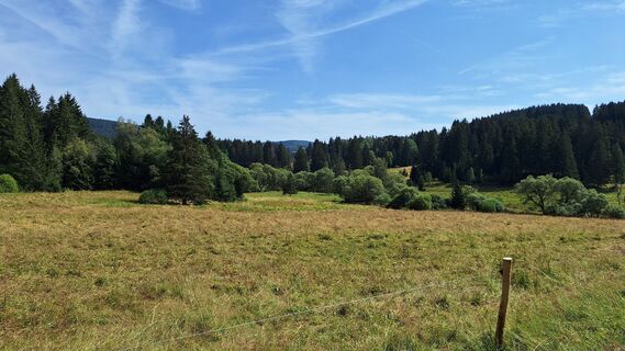 Foto von Steffi S. entlang der Tour