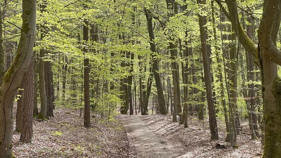 Zdjęcie z PeterKonias wzdłuż trasy