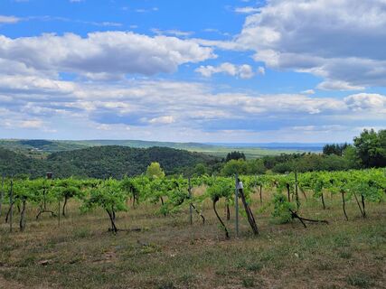 Foto von George50 entlang der Tour
