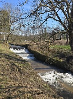 Fotografia z Michel Kennel na trase