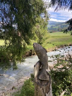 Foto de Dagmar Gaertner a lo largo del recorrido
