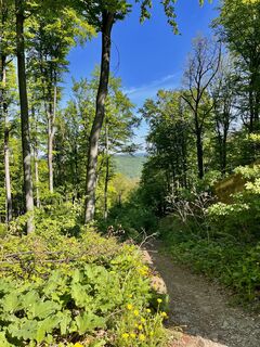 Foto von Sonja Huter entlang der Tour