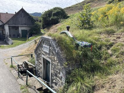 Fotografija s spletne strani Willibald BRIZA na poti