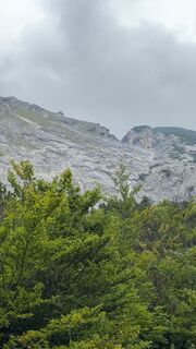 Foto von Gizmo 81 entlang der Tour