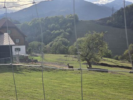 Foto von Timon Bertignoll entlang der Tour