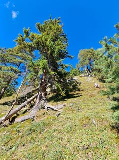 Photo de Egnerute le long du parcours