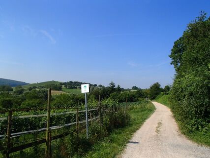 Radweg