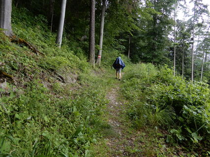 Plankenstein - Hochbärneck