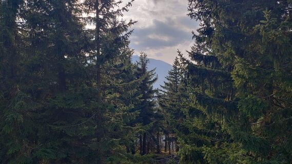 Fotografie z Henryk Ludwicki na trase