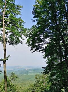Fotografija s spletne strani Edit Szabó 3 na poti