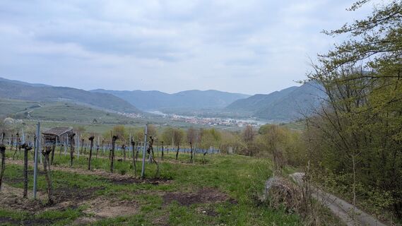 Foto von Edero entlang der Tour