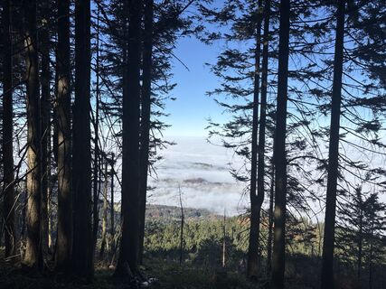 Fotografie z Heinz Sperl na trase