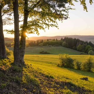 Aussicht vom Kornberg