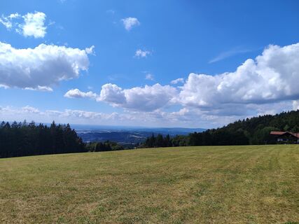 Photo de Bergkater le long du parcours