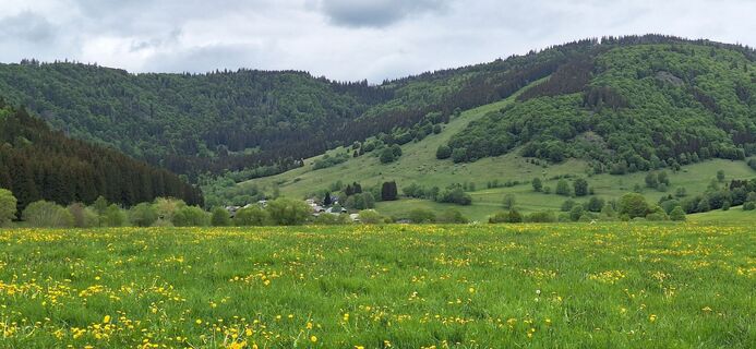 Photo de Alois Höltschi le long du parcours