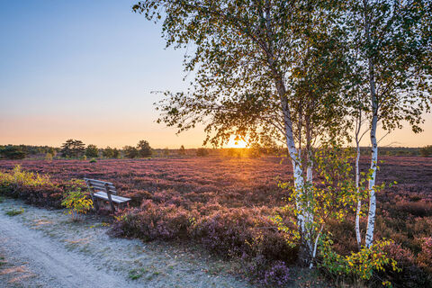 Sonnenuntergang in der Osterheide