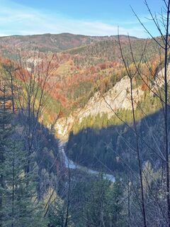 Fotografia z Firma Pool1 Hackl Roman na trase