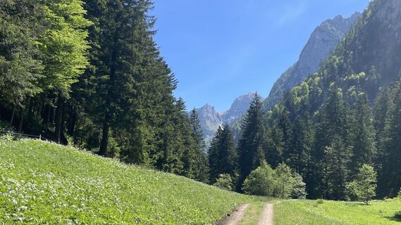Photo de Gerhard Wipplinger le long du parcours