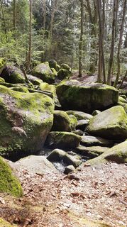 Foto von Petra Bohringer entlang der Tour