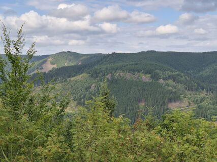 Zdjęcie z Wollomator wzdłuż trasy