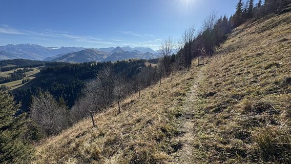 Foto von peter_oe entlang der Tour