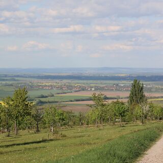 Himmelreich, Witterda