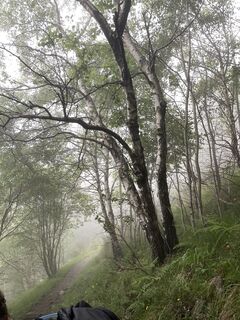 Fotografia z Mariagrazia Bellagamba na trase
