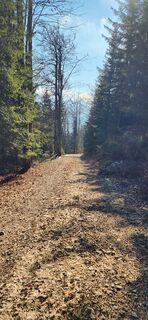 Foto von Nora entlang der Tour