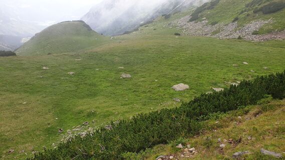 Blick vom Schaunitztörl zurück. Der Steinmandlweg liegt links vom BIld.
