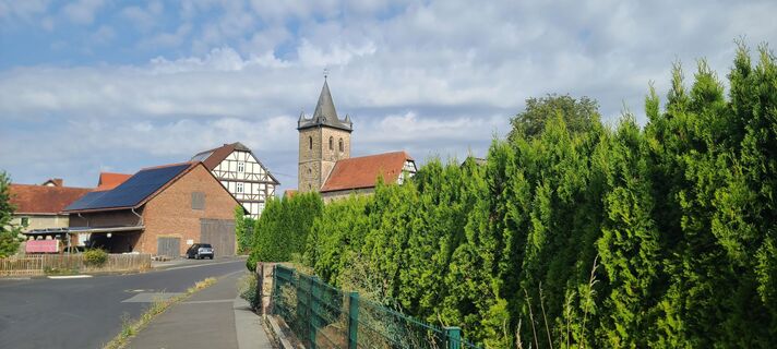 Photo de Wolf le long du parcours