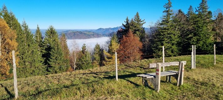 Foto von Gabi G entlang der Tour