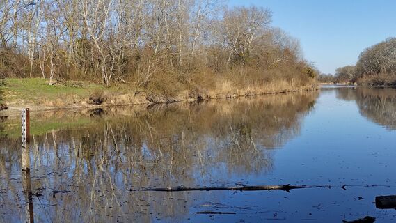 Fotografia z bergwolfi na trase