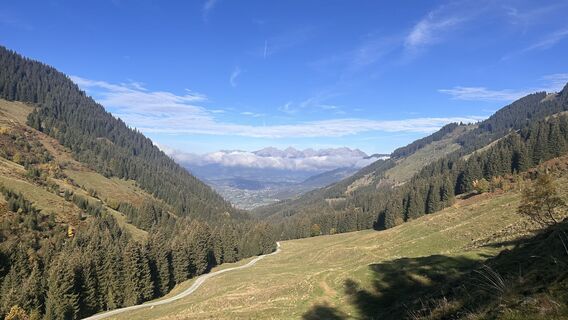 Fotografija s spletne strani Dominique Vlach na poti