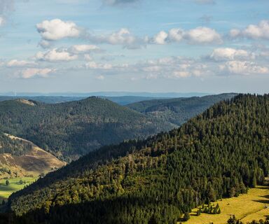 Herzogenhorn