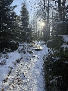 Fotografija s spletne strani Nico Eisner na poti