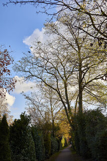 sendenhorst-promenade-natur