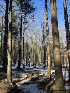 Foto von Martina Potzgruber entlang der Tour
