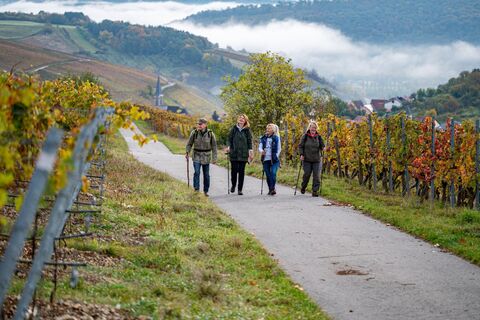 Wanderer genießen den Herbst in den Weinbergen