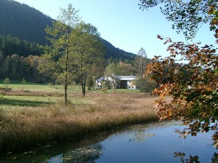 Böcklweiher im Herbst