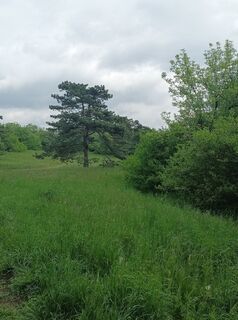 Foto de Julika Jármer a lo largo del recorrido