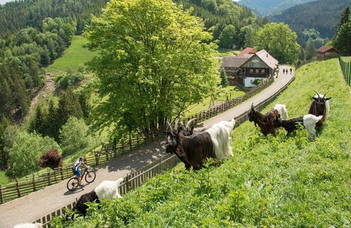 Radtour von Burg zum Prieselbauer