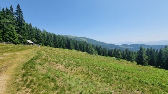 Foto da Oli Heise lungo il tour