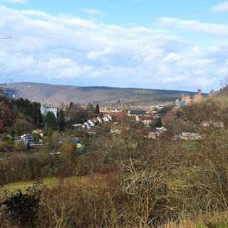 Rückblick auf die Burg Wertheim