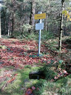 Foto von Wanderfux entlang der Tour