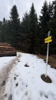 Photo de Peter Zabransky le long du parcours
