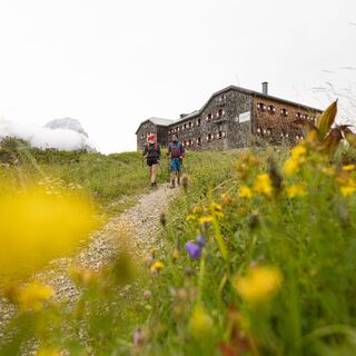 hofpuerglhuette-filzmoos-wandern-almsommer
