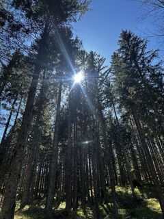 Fotografija s spletne strani Florian Markes na poti