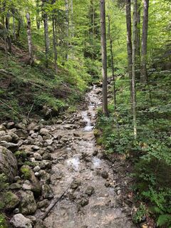 Fotografia z Michael Somerwil na trase