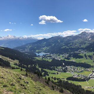 Aussicht Richtung Lenzerheide