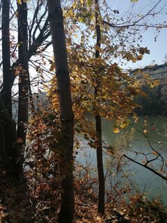 Photo de Dragoljub Ilic le long du parcours